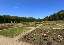 Долина Роз в Кисловодске