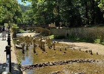 Река в Курортном Парке